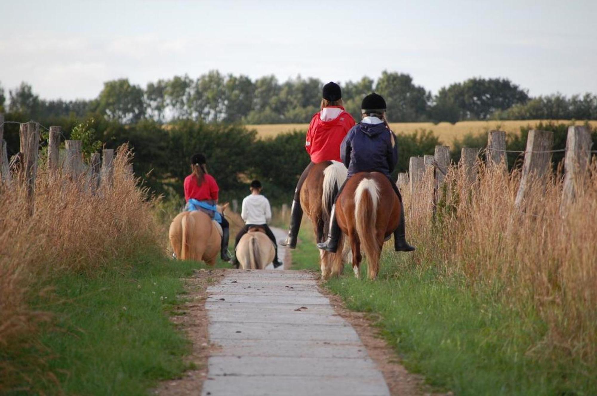 Ferienwohnungen Auf Dem Ferienhof Sell Stoltebull Bagian luar foto
